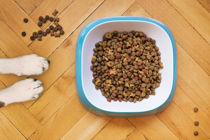 dry-dog-food-5198627_1280